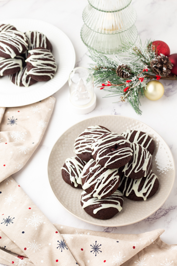 cranberry chocolate cookies